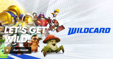 Wildcard screen shot